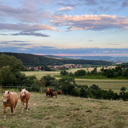 Haus Landlust Lägenhet Edersee Exteriör bild